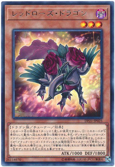 紅薔薇龍