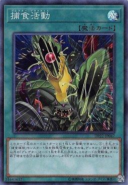 捕食活動