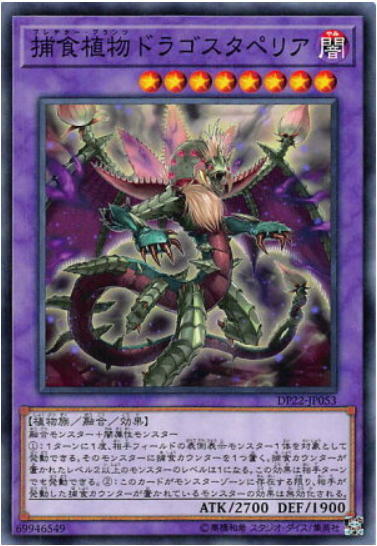 捕食植物魔星花龍