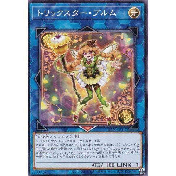 花樣明星金雀兒