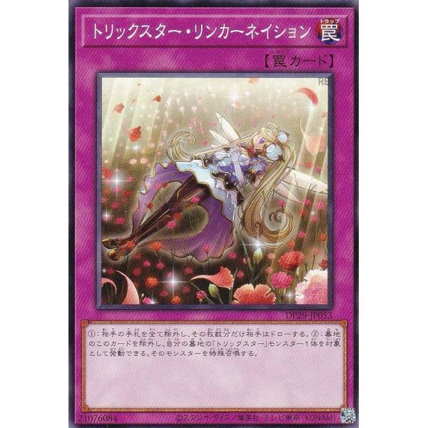 花樣明星康乃馨輪迴