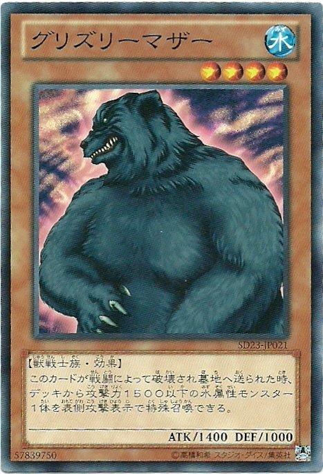 母灰熊