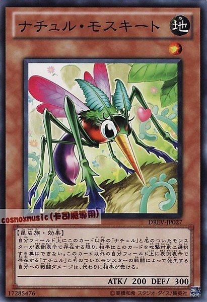 自然蚊子