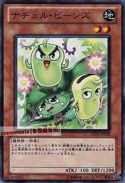 自然豆