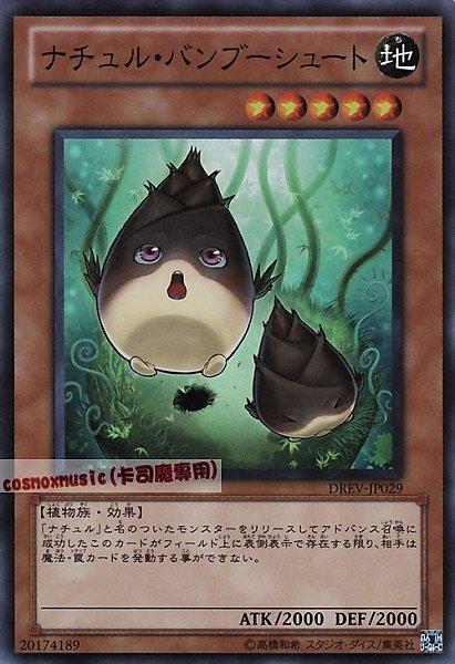 自然竹筍
