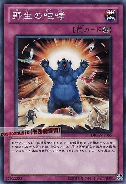 野生的咆哮