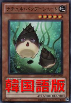 自然竹筍