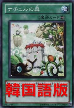自然森林