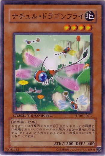 自然蜻蜓