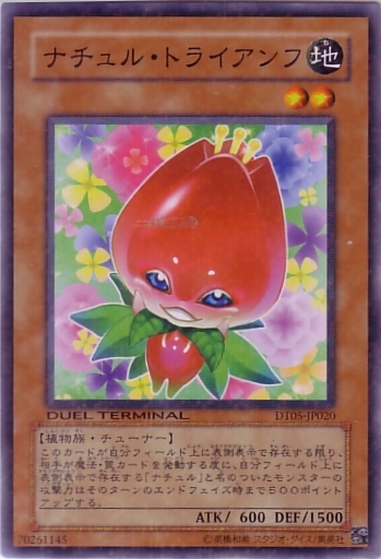自然勝利鬱金香