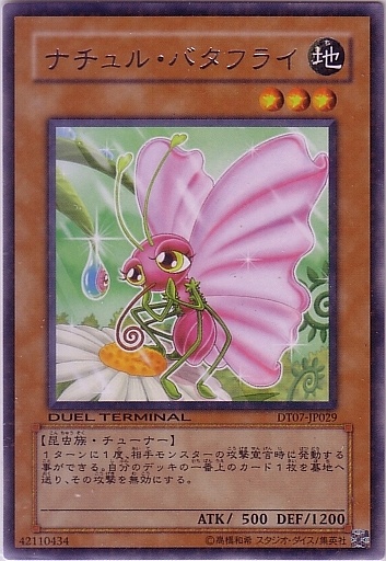 自然蝴蝶