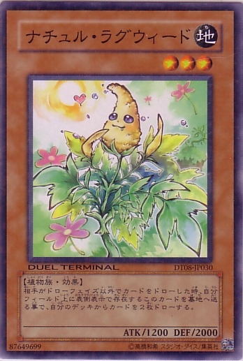 自然豚草