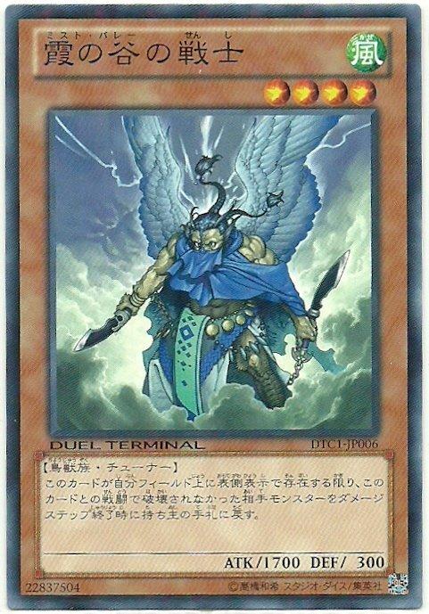 霞之谷的戰士