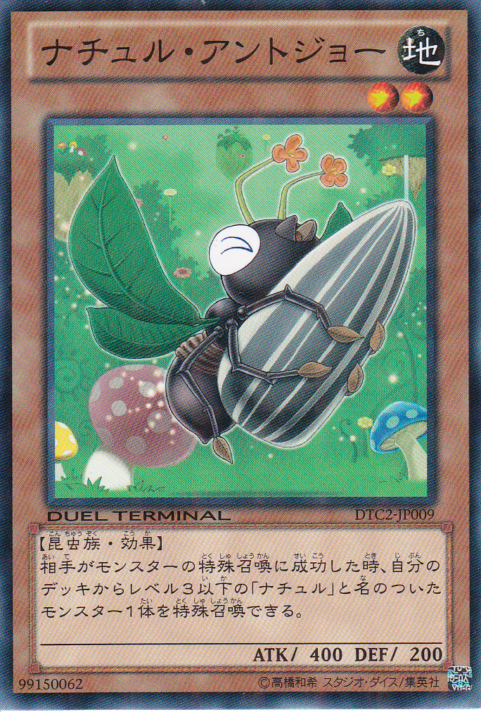 自然螞蟻顎