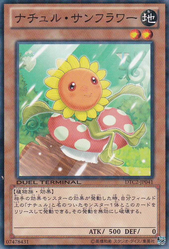 自然向日葵