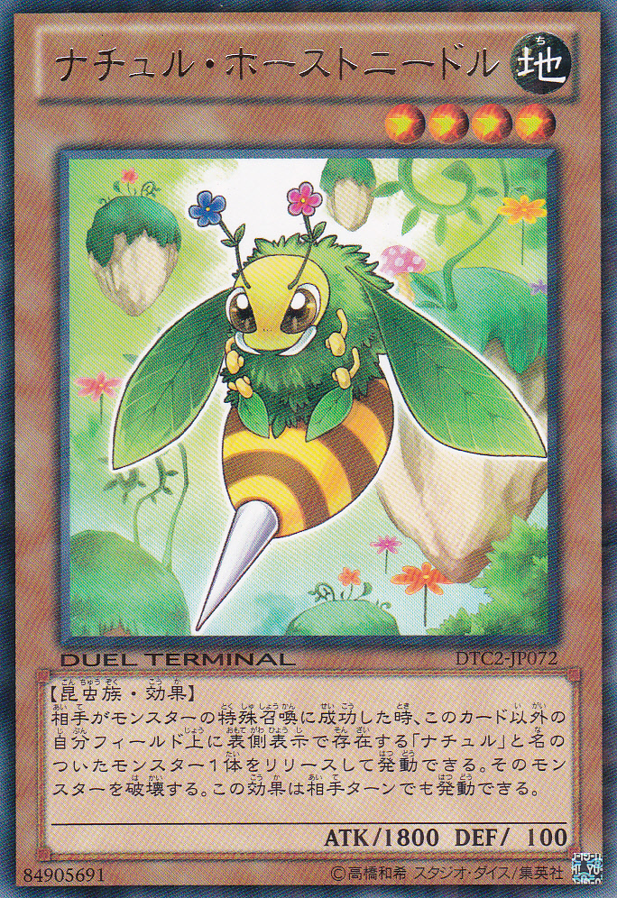 自然大針蜂