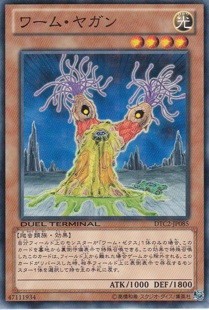 蠕蟲亞岡