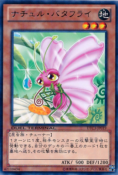 自然蝴蝶