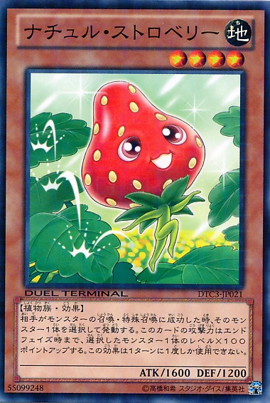 自然草莓