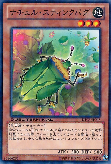 自然椿象