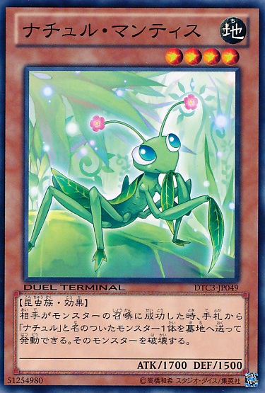 自然螳螂