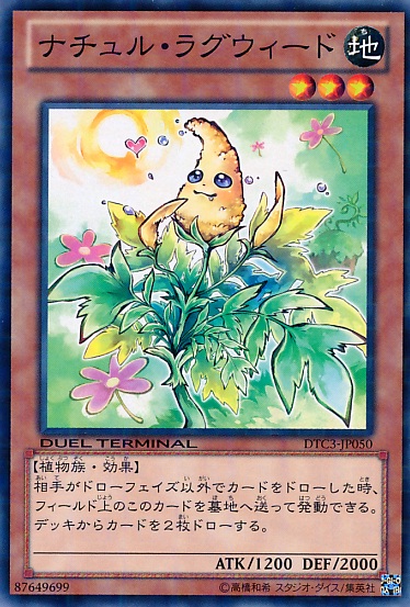 自然豚草