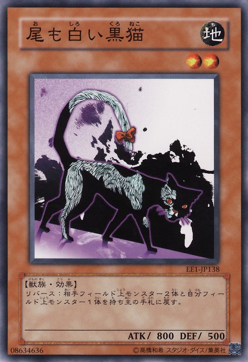 白尾黑貓