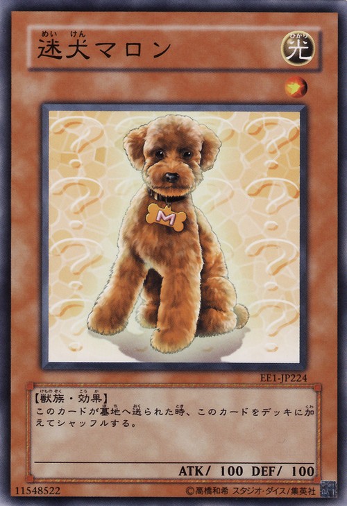 迷犬瑪朗