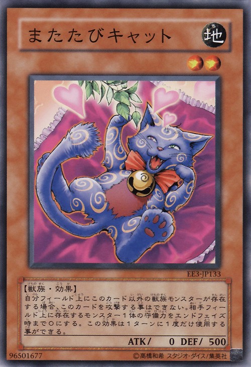 流浪貓