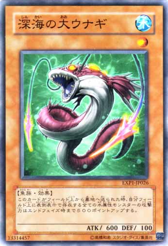 深海大孔鰻