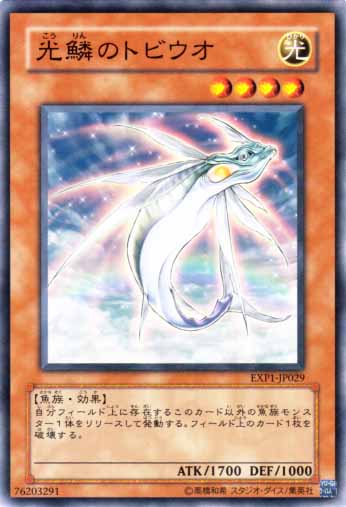 光鱗飛魚