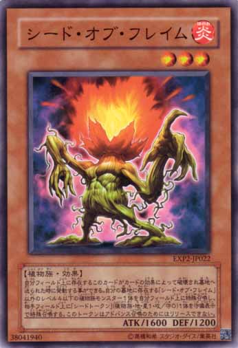 燃燒種子