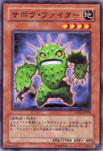 仙人掌鬥士