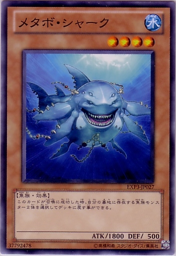代謝鯊魚
