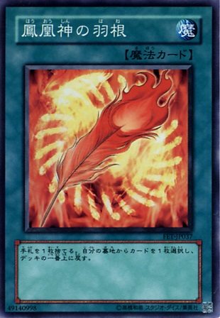 鳳凰神的羽毛