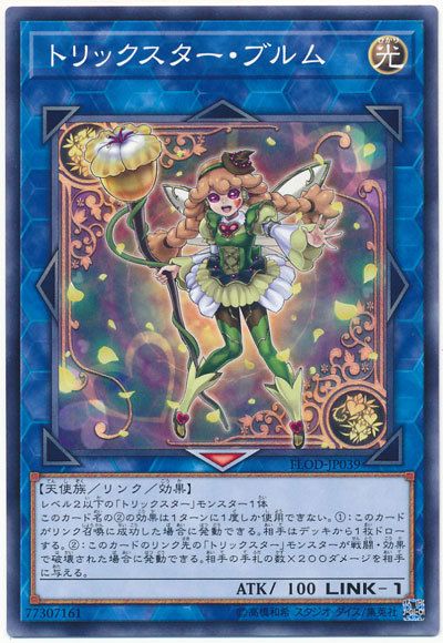 花樣明星金雀兒