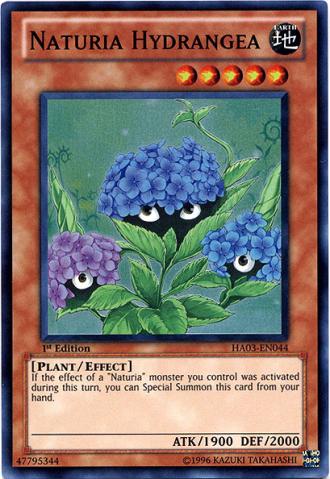 自然繡球花