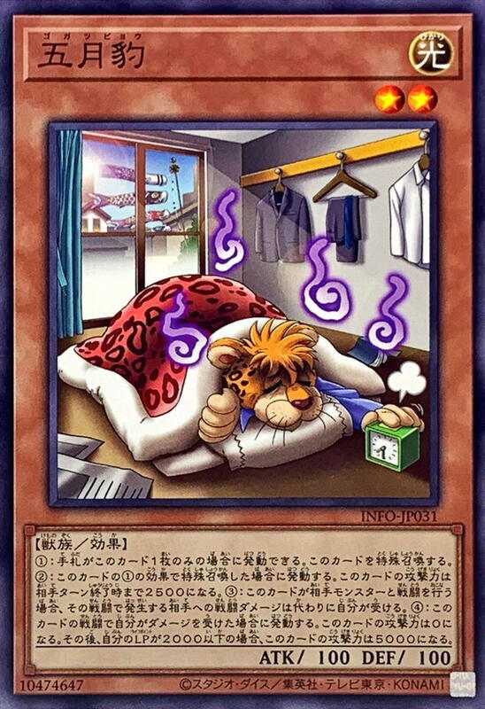 五月豹