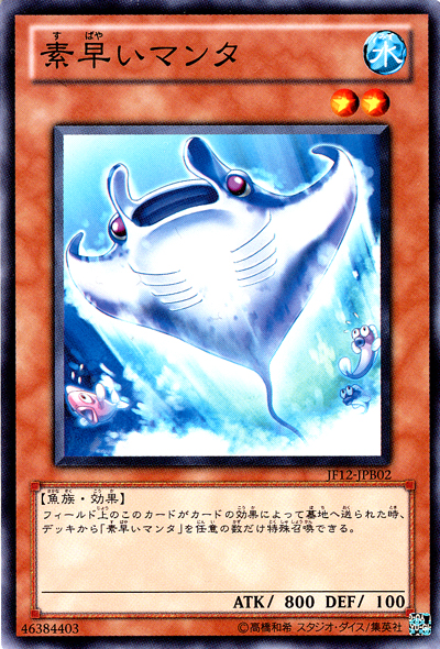 迅捷蝠魟