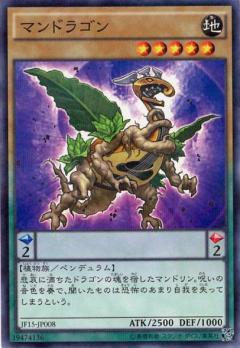 蔓陀羅龍