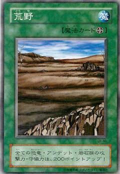 荒野