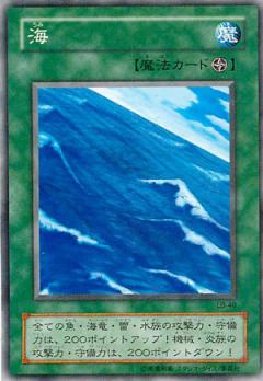 海