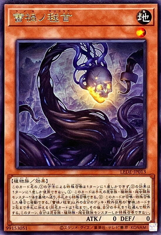 蕾禍之毬首