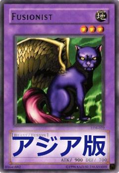 融合貓