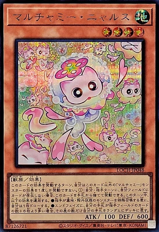 團團寶貝喵喵貓咪