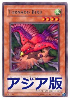 龍捲風鳥