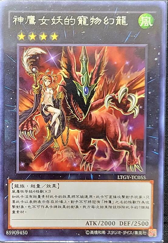 神鷹女郎的寵物幻龍