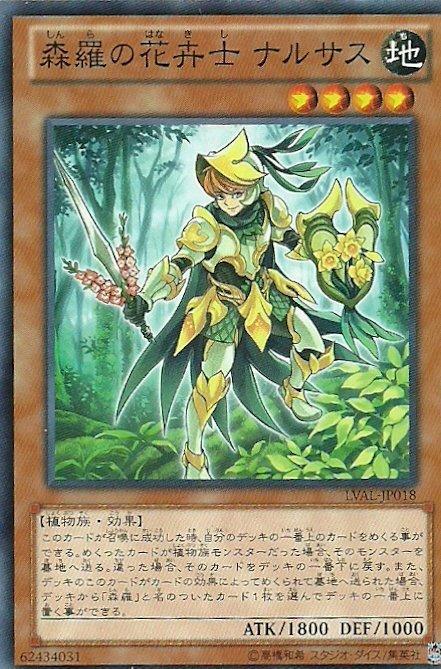 森羅的花卉士水仙