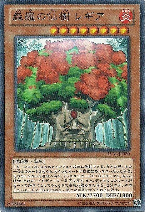 森羅的仙樹鳳凰木