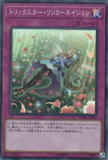 花樣明星康乃馨輪迴
